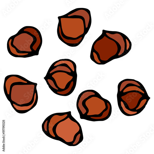 Whole Hazelnut Kernels. Healthy Snack. Fresh Farm Harvest Product. Vegetarian Food. Realistic Hand Drawn Illustration. Savoyar Doodle Style.