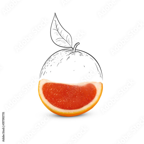 Fruit composition with fresh grapefruit and cartoon cute doodle drawing half grapefruit with leaf on white background. Creative minimalistic food concept.