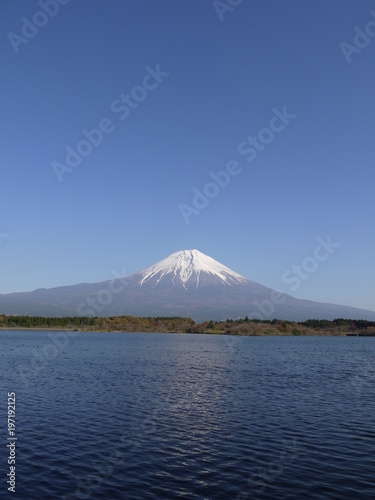 田貫湖 富士山。静岡 日本。11月中旬。