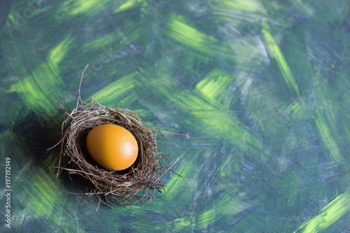 Motley background with a nest and egg.