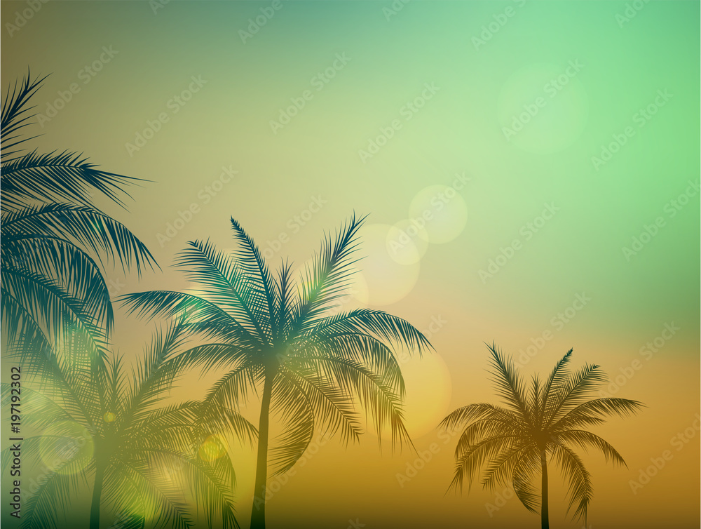 Fototapeta premium Exotic tropical palm tree background for text. Vector illustration.