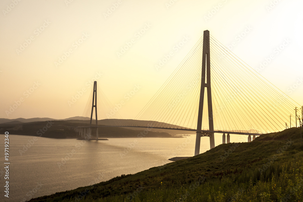 Cable-stayed bridge 