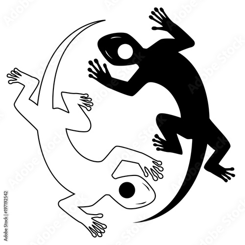 Black and white yin yang lizards