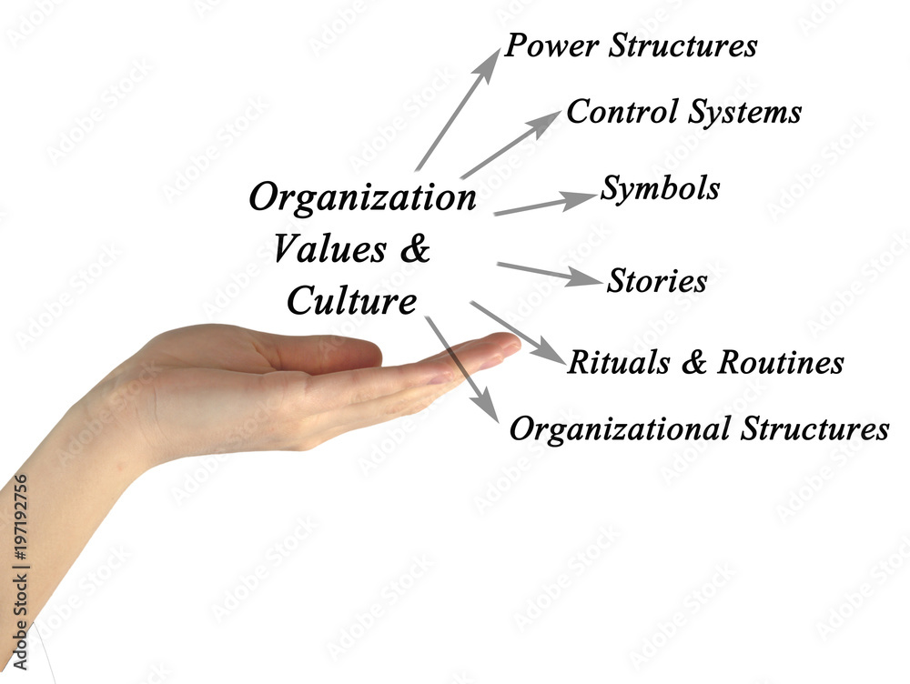 Diagram of Organization Values & Culture Diagram of Organization Values & Culture