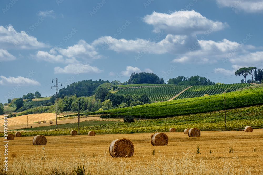 Fototapeta premium Summer landscape near Volterra, Tuscany