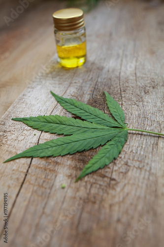 cannabis leaf and bottle hemp oil on wooden table