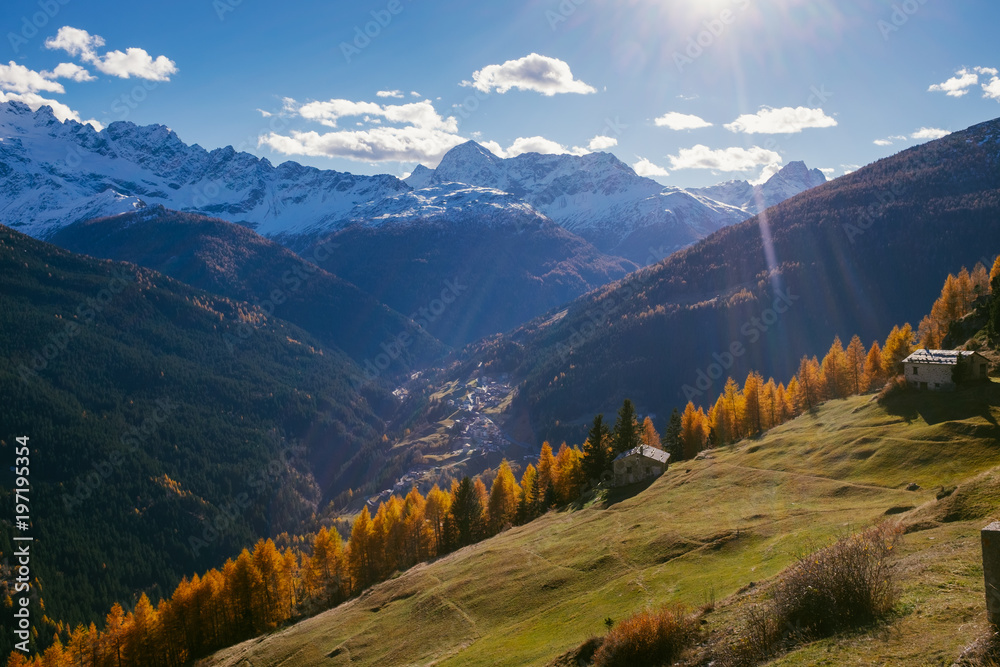 Obraz premium Beautiful colored larches with autumn colors in the mountains.