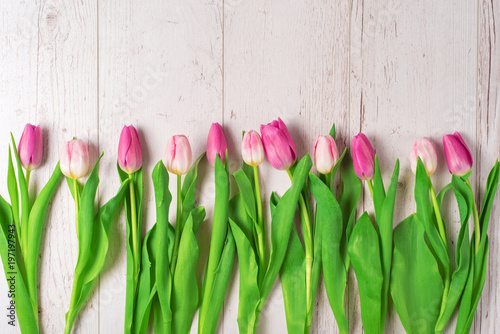 Set of tulips on wooden background