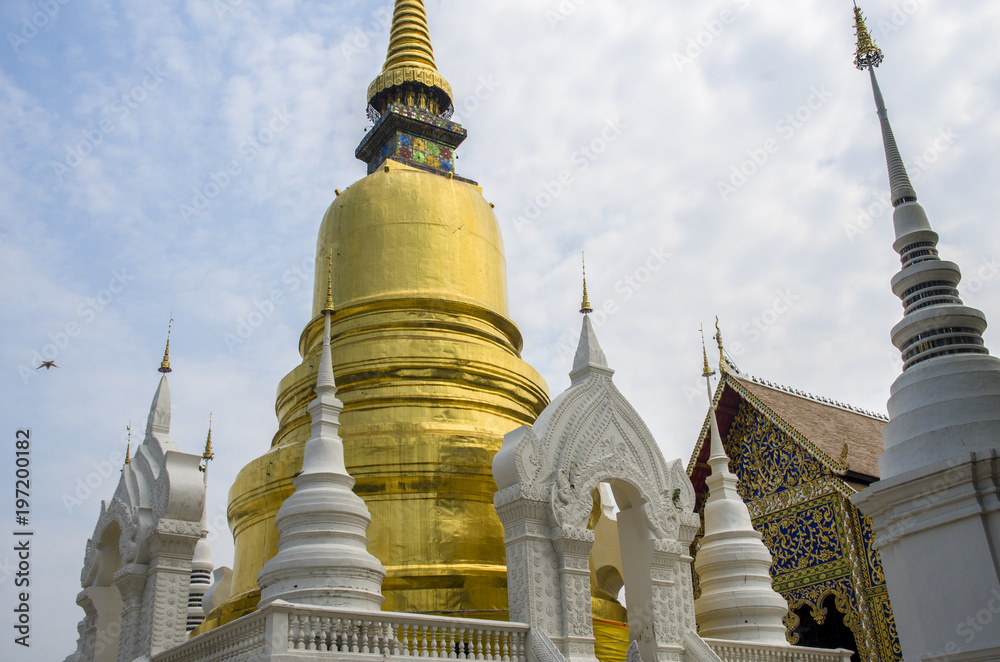 Fototapeta premium Wat Suan Dok Buddhist Temple In Chiangmai Thailand.
