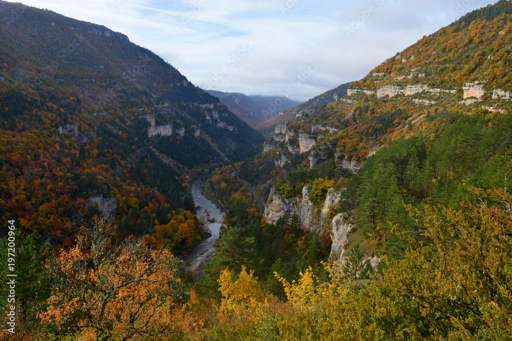 Fototapeta premium GORGES DU TARN, CIRQUE DE POUGNADOIRES, LOZERE FRANCE