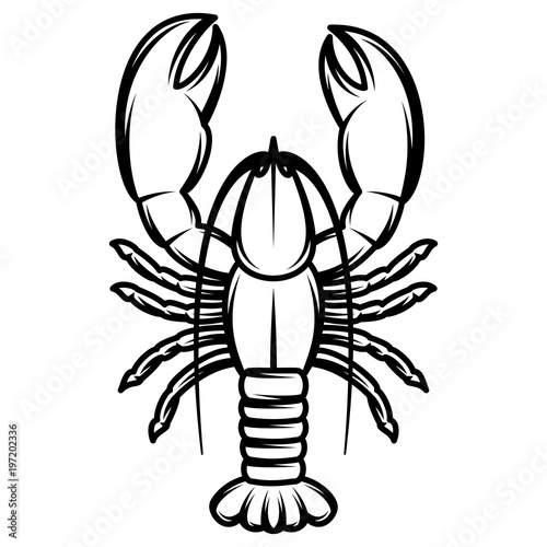 vector monochrome illustration with lobster for design © 111chemodan111