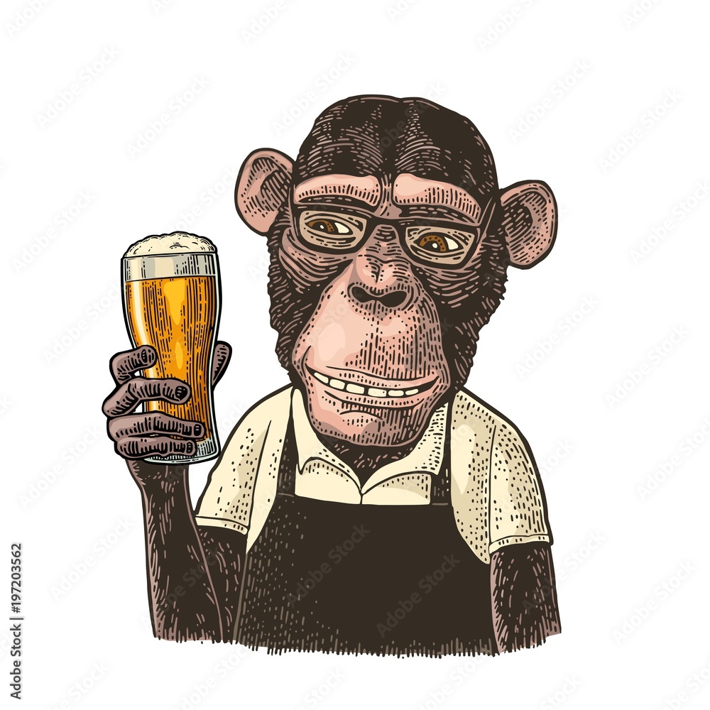 Obraz premium Małpa ubrana w fartuch trzyma szklankę piwa. Grawerowanie w kolorze vintage
