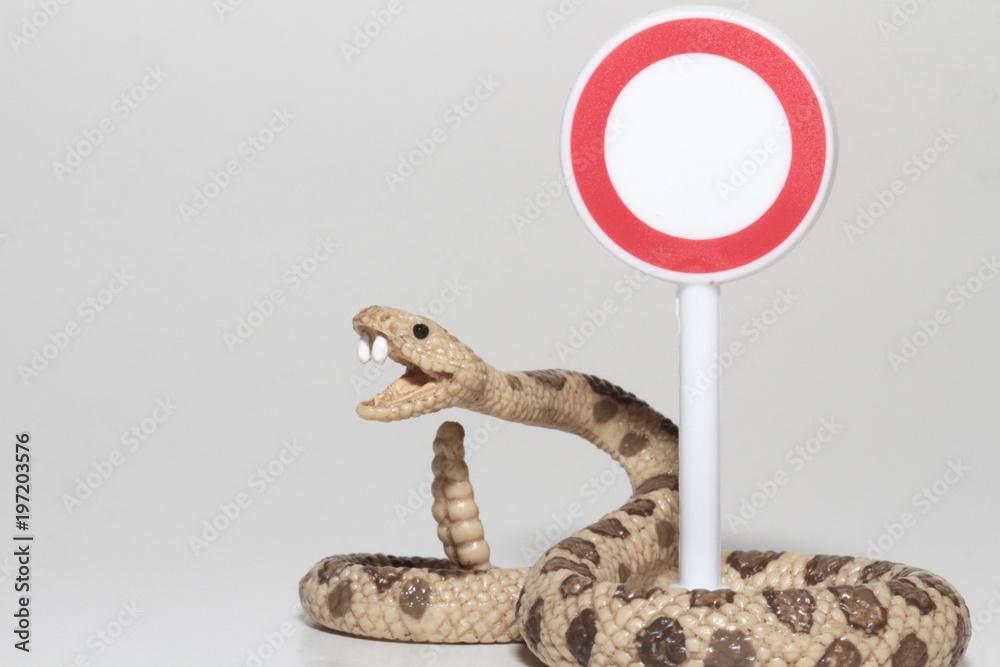 Fototapeta premium serpente a sonagli in miniatura