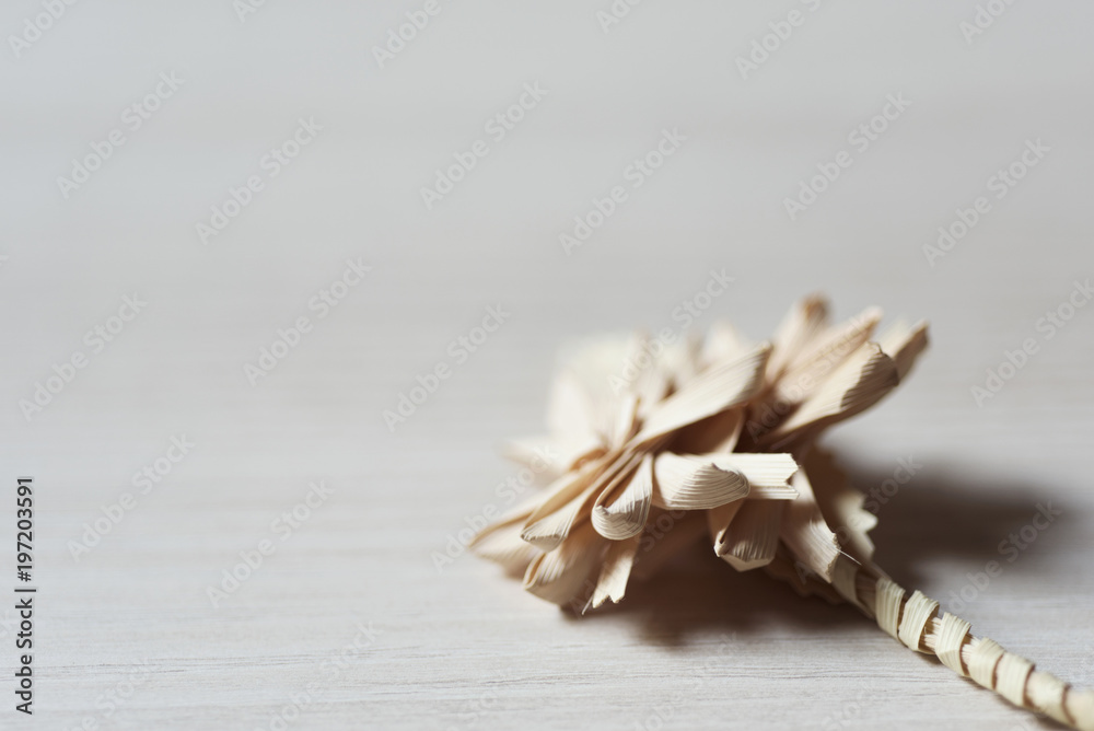 Obraz premium spanish braided palm for Palm Sunday