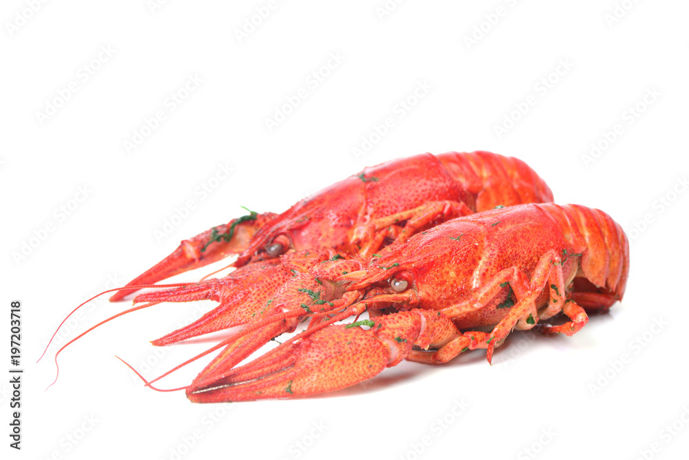 Bolied crayfish Bolied crayfish
