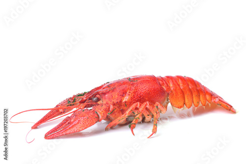 Bolied crayfish