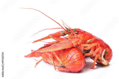 Bolied crayfish