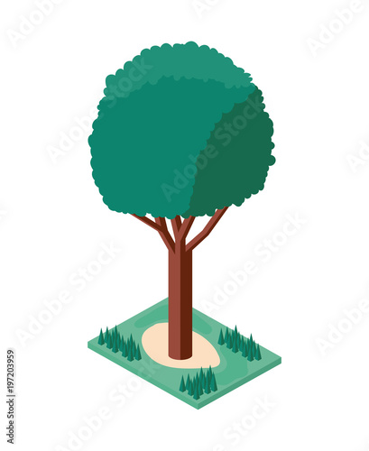 tree plant mini isometric icon vector illustration design