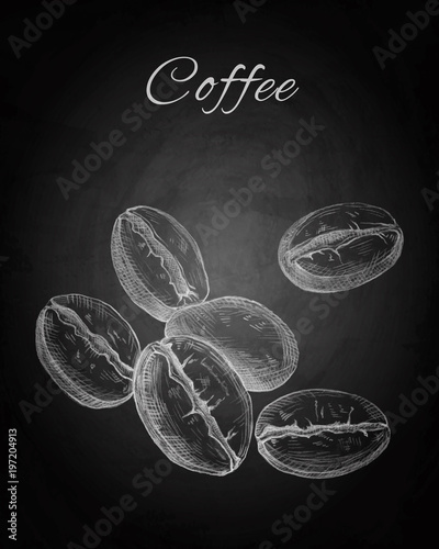 Hand drawn coffee beans on chalkboard background
