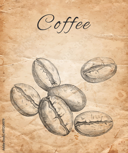 Hand drawn coffee beans on old paper background
