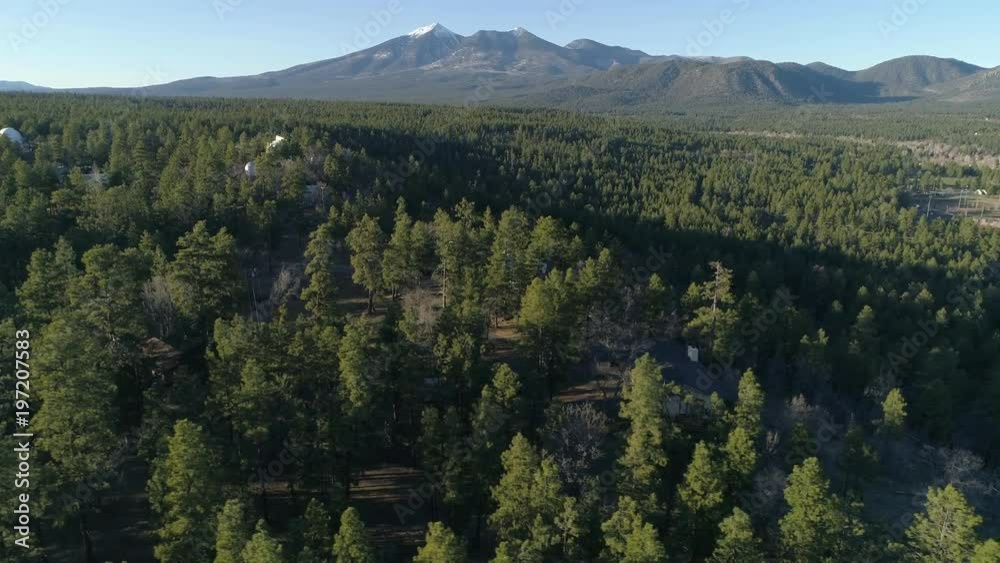 Aerial view of green trees and mountains Aerial view of green trees and mountains