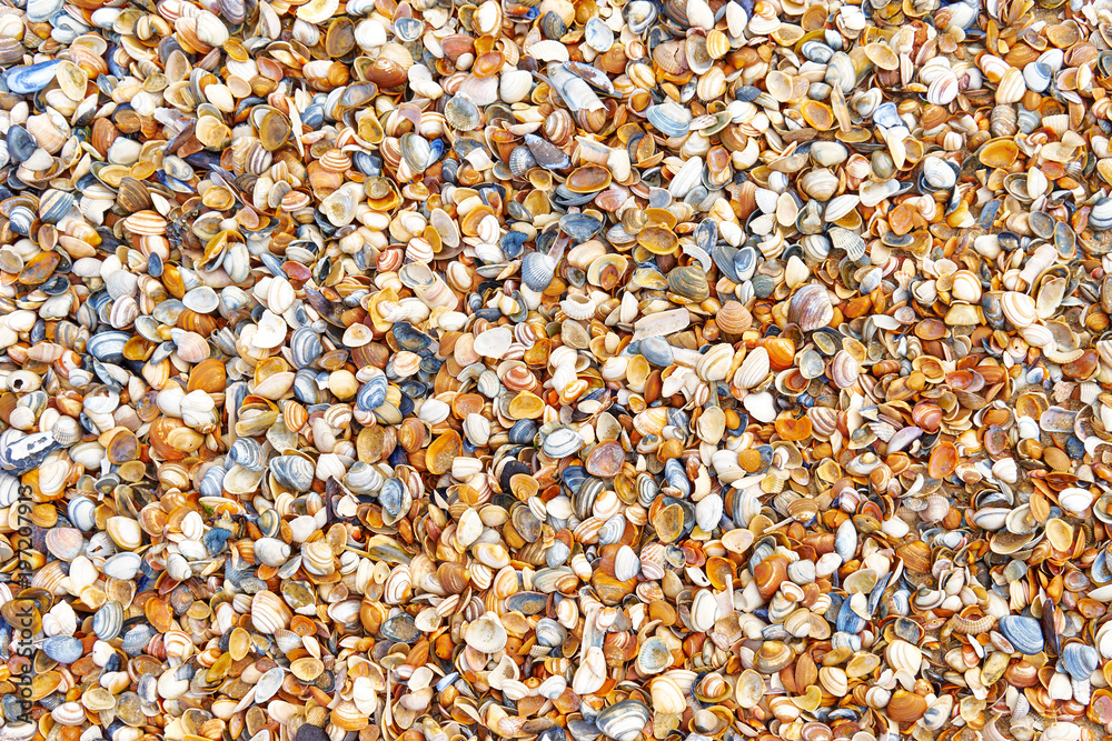 The perfect beach summer day background The perfect beach summer day background