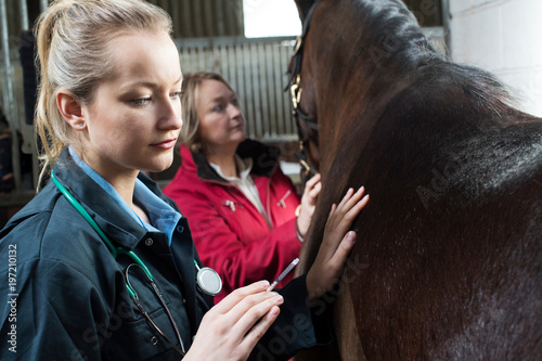 Female Vet Giving Injection To Horse In Stable