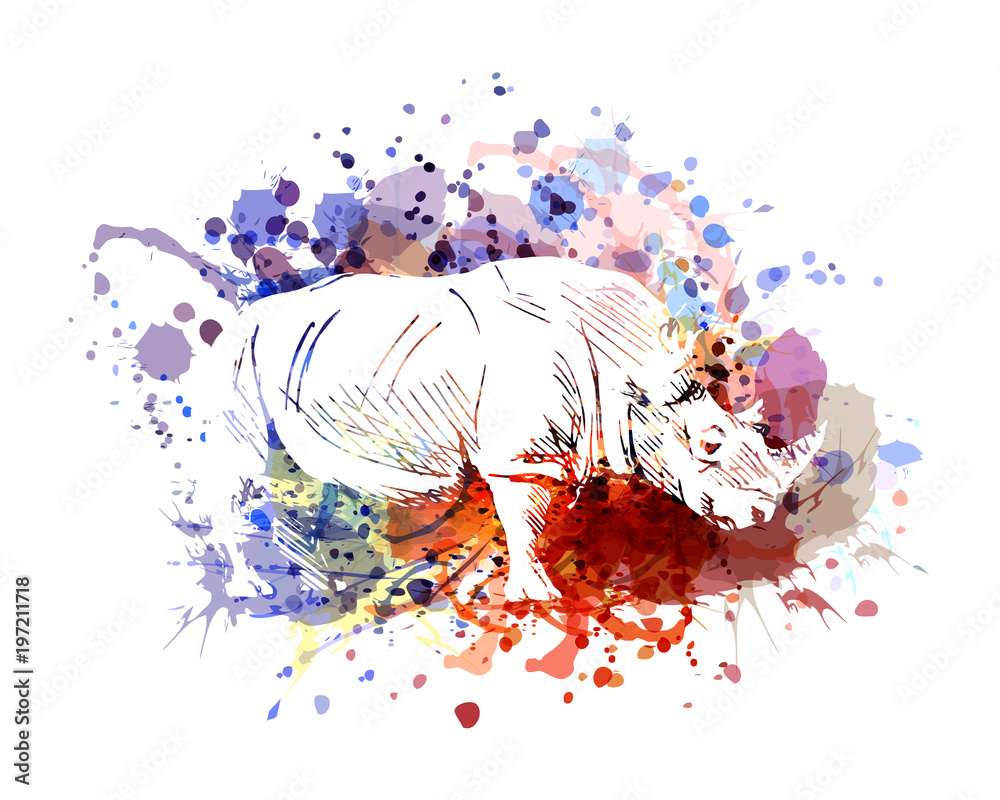 Fototapeta Wektorowa kolor ilustracja nosorożec