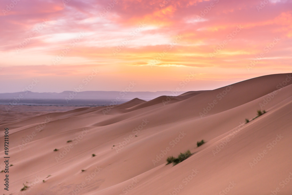 Merzouga in the Sahara Desert in Morocco Merzouga in the Sahara Desert in Morocco