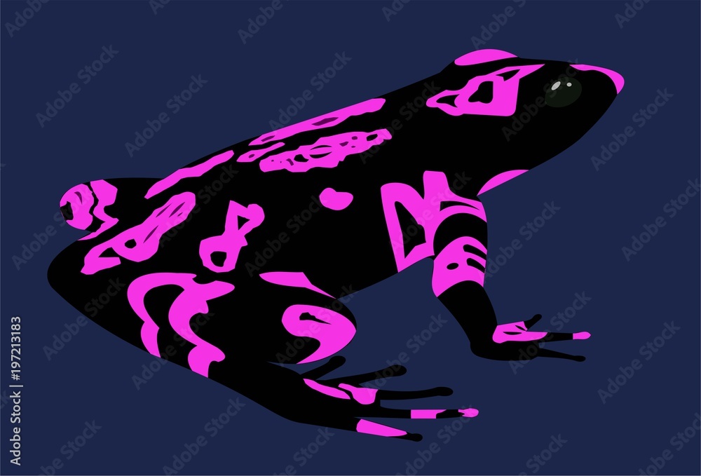 pink black frog Stock Illustration