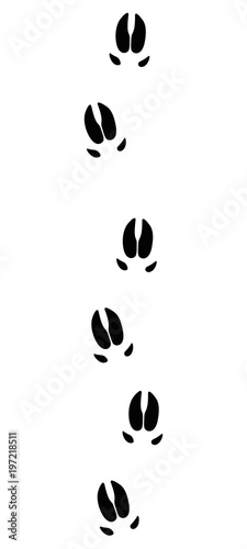 Wild boar or pig tracks - isolated black icon vector illustration on white background.
