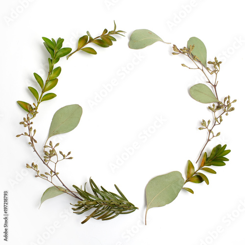 Fototapeta Naklejka Na Ścianę i Meble -  Round circle frame made of green branches and leaves on white background. Flat lay, top view