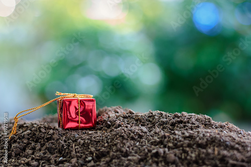 Red gift box on soil agains...