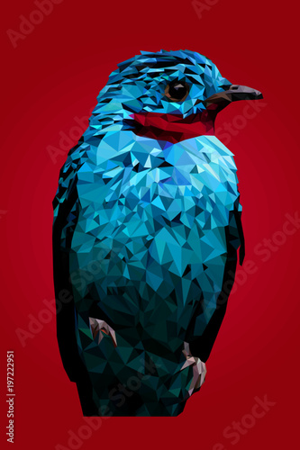 Blue bird cotinga cayana. Low poly vectors. photo