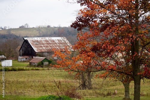 Autumn Farm