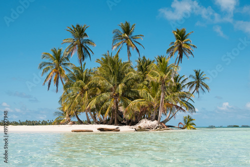 Fototapeta Naklejka Na Ścianę i Meble -  Small Island, beach and palm trees -  San Blas Islands, Panama  