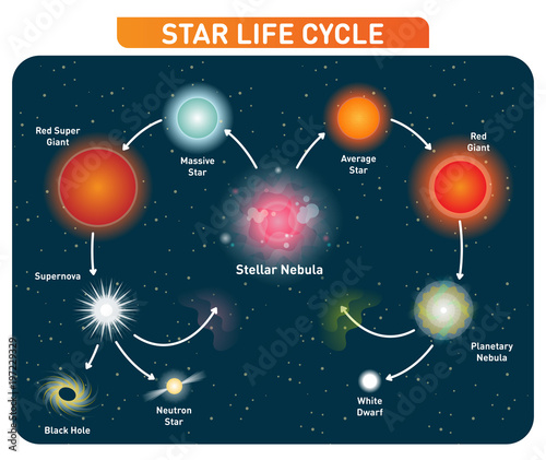 Star life cycle steps from stellar nebula to red giant to black hole. Vector illustration diagram. 