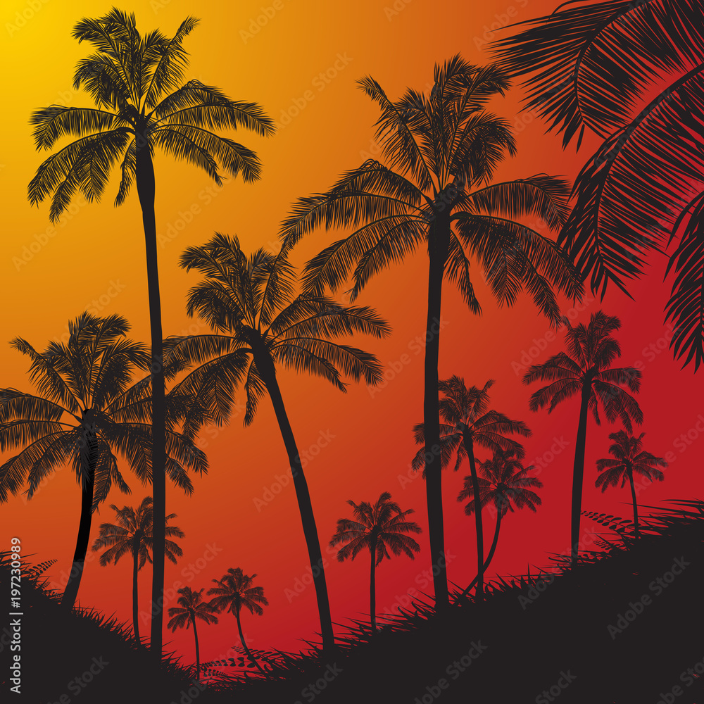 Tropical palm trees silhouette on sunset background
