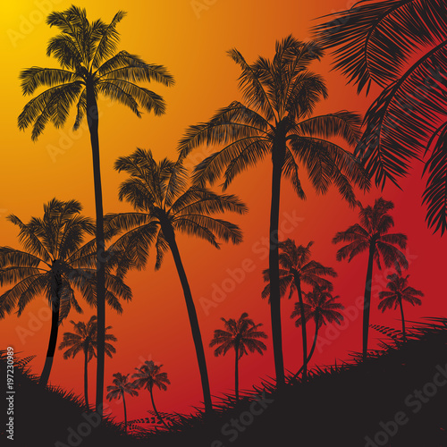 Tropical palm trees silhouette on sunset background