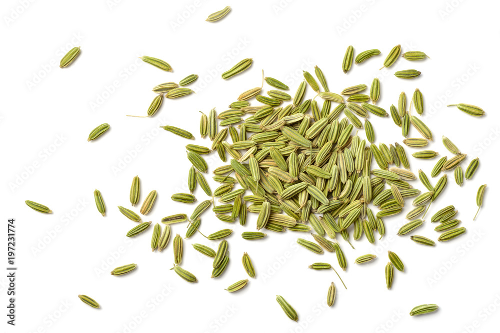dried fennel seeds isolated on white dried fennel seeds isolated on white