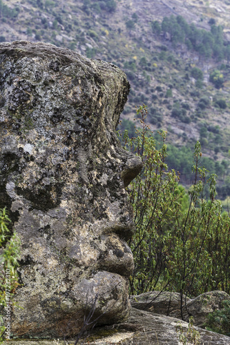 moss covered natural rock with face shape by donald trump 