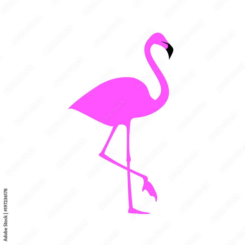 Fototapeta Ilustracja Flamingo. Wektor