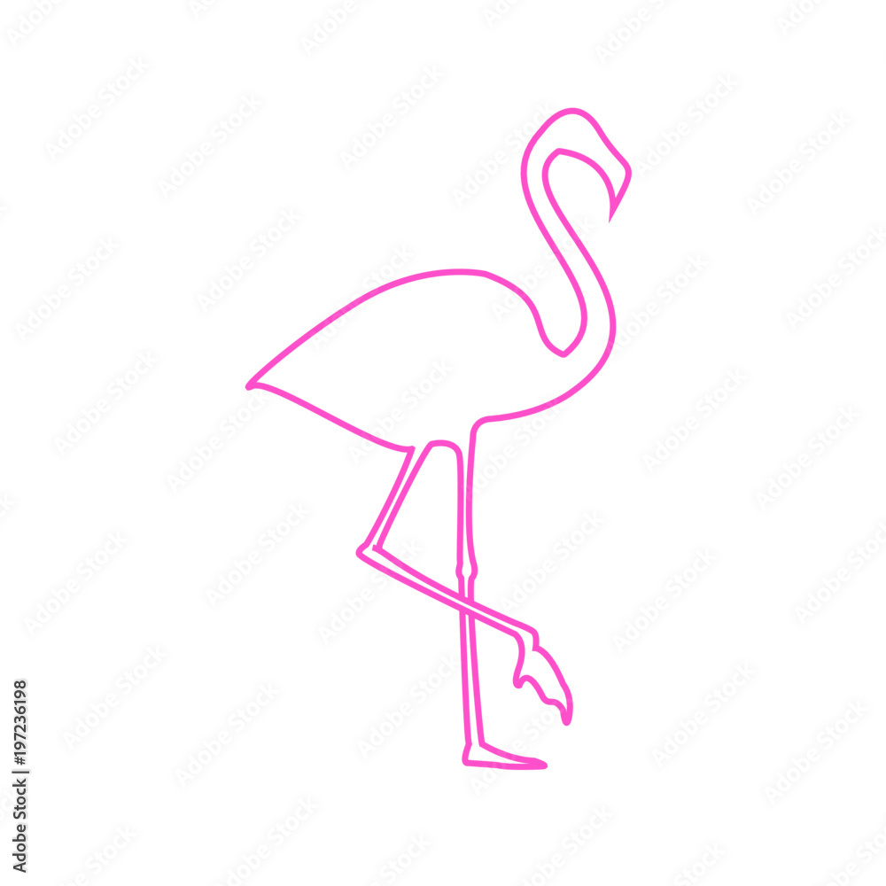 Fototapeta premium Flamingo illustration. Vector