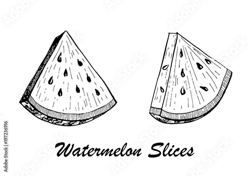 Hand drawn vector illustration - watermelon slices. Botanical food illustration.