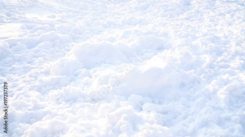 Funny sporty happy dog Jack Russell terrier rushes through a snow-covered field. DLSR camera slow motion video footage