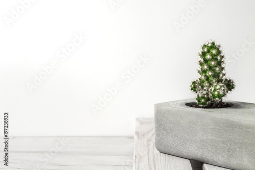 A desk against a white empty wall with a cactus in a concrete gray diy pot