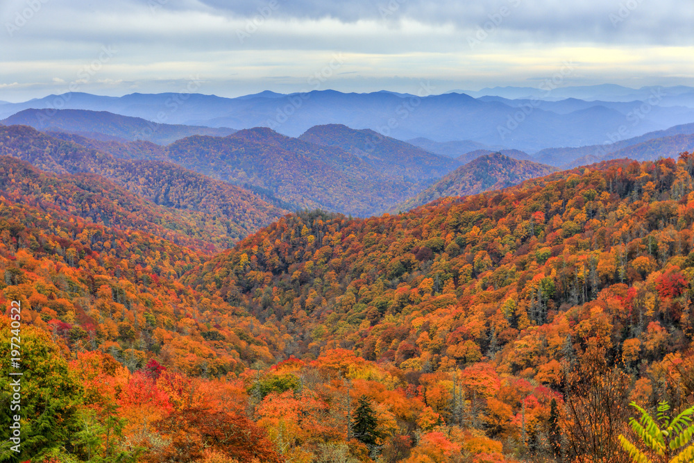 Autumn colors in Great Smoky Mountains National Park along the North Carolina-Tennessee border Autumn colors in Great Smoky Mountains National Park along the North Carolina-Tennessee border