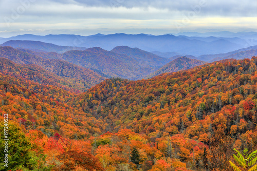 Autumn colors in Great Smoky Mountains National Park along the North Carolina-Tennessee border photo