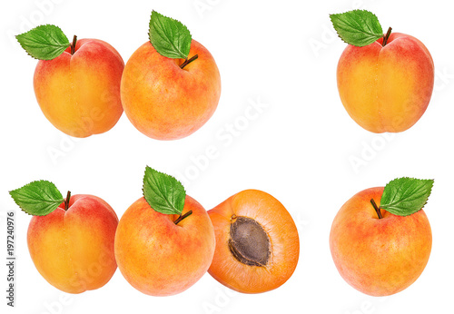 Fototapeta Naklejka Na Ścianę i Meble -  apricot isolated on white background