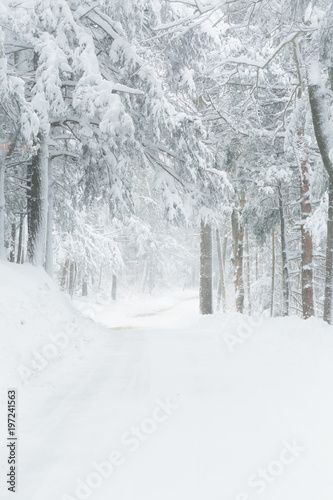 Snow Storm
